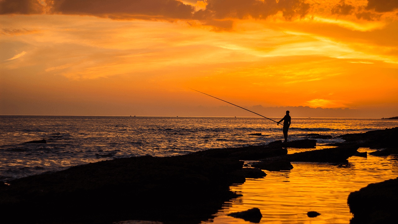 LOHASTAhome presented by LOHAS studio4