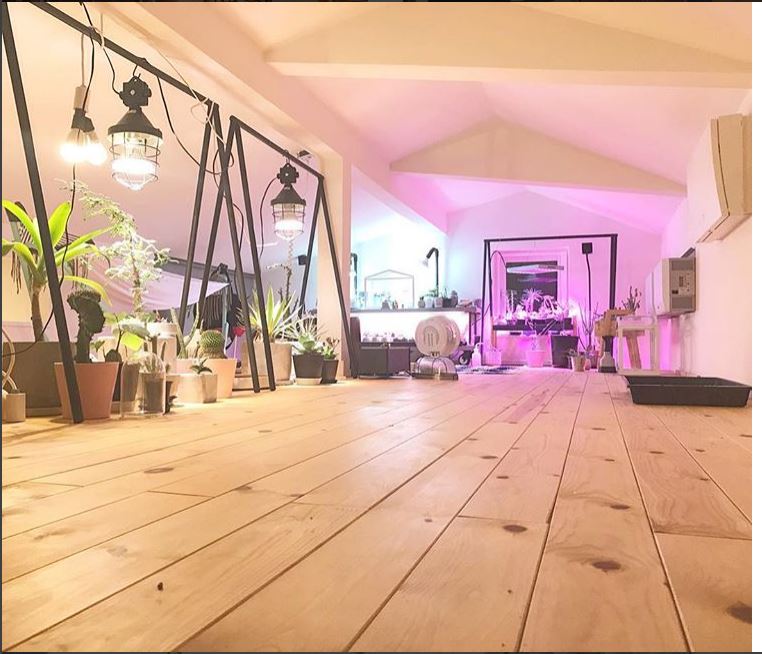 注文住宅・建て替え・新築のLOHASTA home(ロハスタホーム)